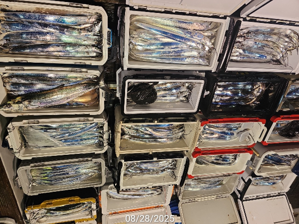 00A28AE5-E45D-454A-BA67-622703E2B784.jpeg