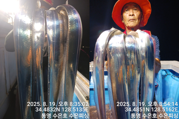 1755606045159-tile.jpg