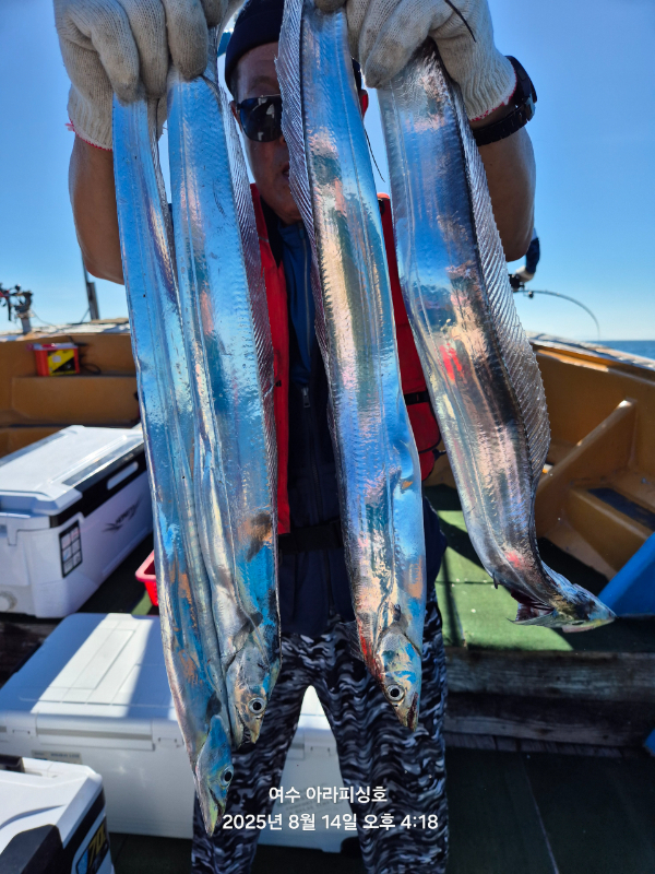 Resized_20250814_161854.jpeg