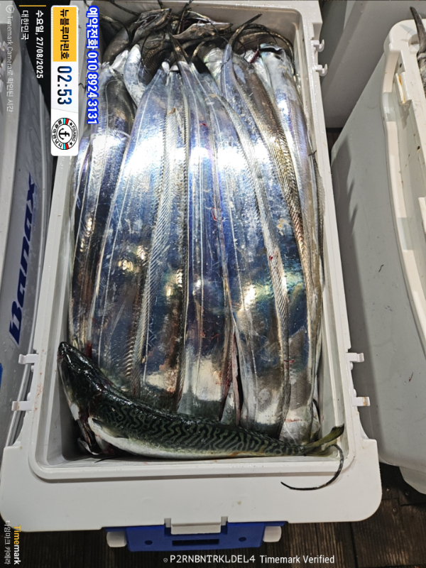 2025-08-27 02.53.08_대한민국_(제목-뉴블루마린호)_(예약전화 010 8924 3131).jpg