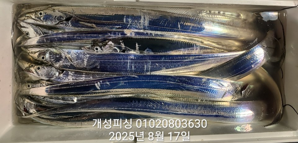 9c430e7c8a45cd050ddc108bee3308a8.jpg