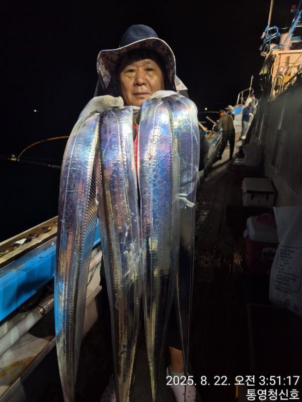 통영청신호입니다_사진_20250822_9.jpg