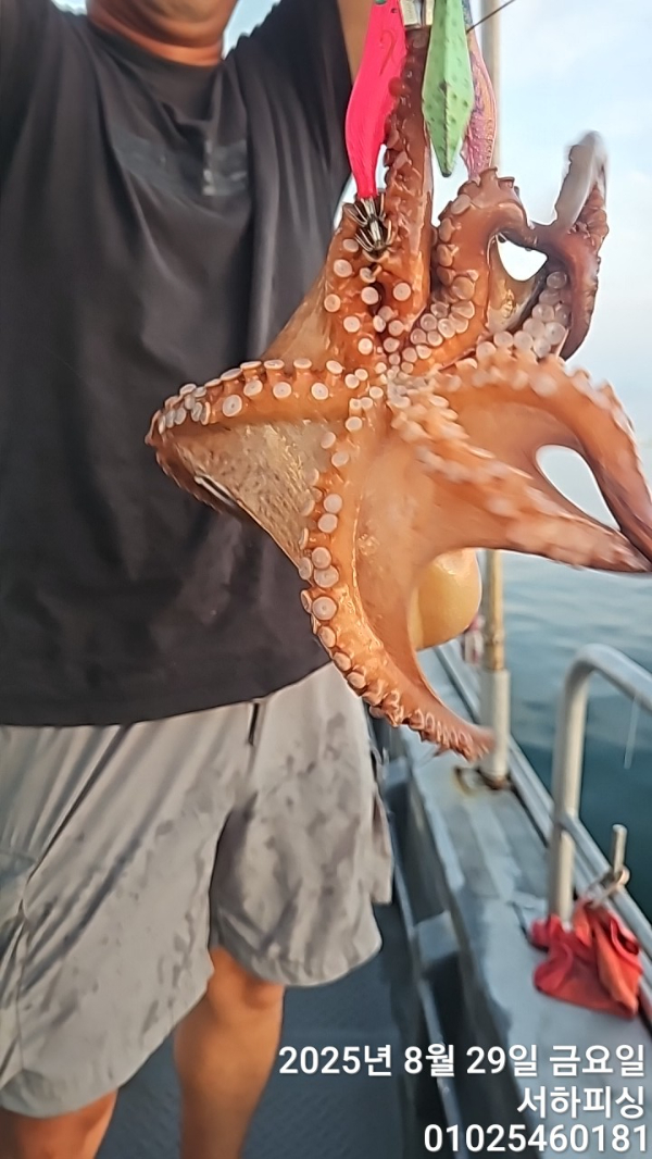 1756430856931.jpg