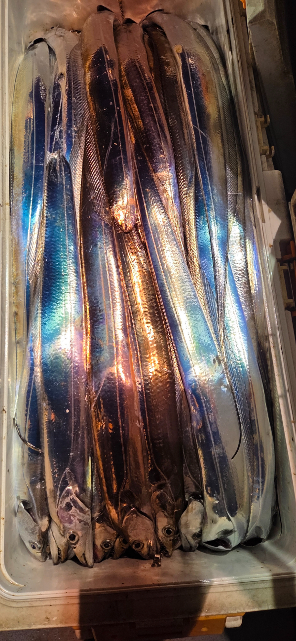 1000068027.jpg