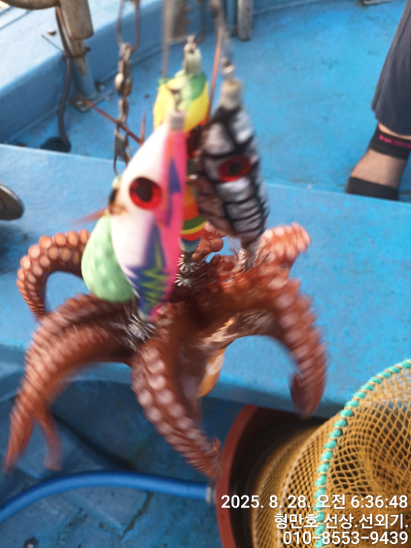 9e88506df00be6a33e161a7488b0e0bd.jpg