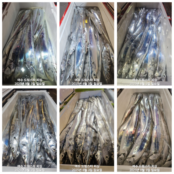 9ede41bfbf6ab44f129d607ba1fee7a6.jpg