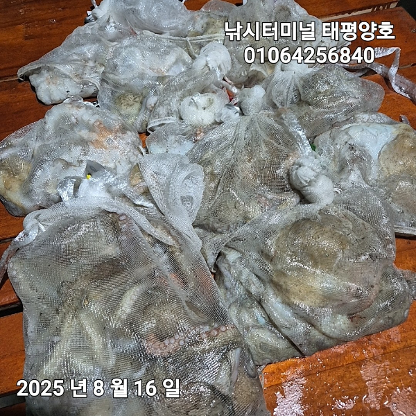 KakaoTalk_20250816_022629382_18.jpg