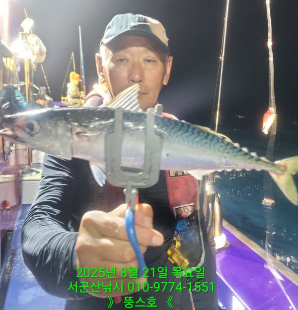 군산 선상낚시, 바다낚시 출조 전문 ☆서군산낚시☆_사진_20250822_4.jpg