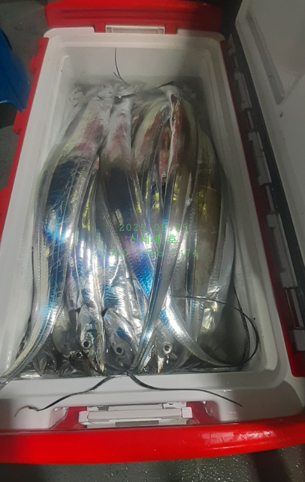 1756075100628.jpg