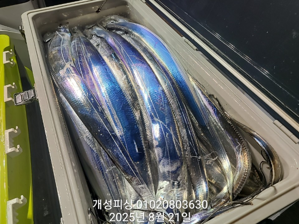 a020e7cfd0273c3802825c7859a1feda.jpg