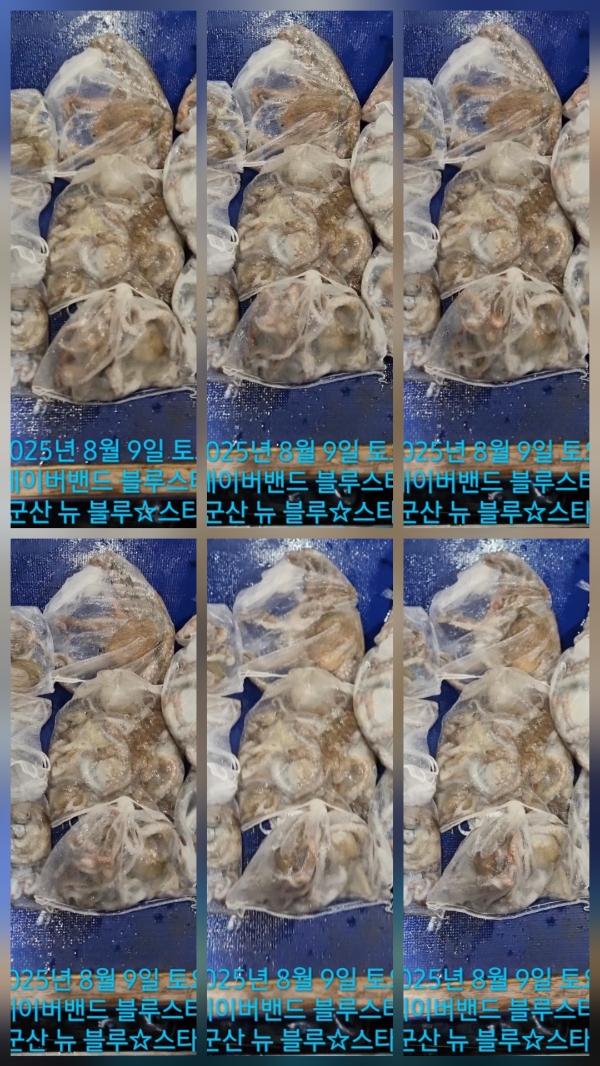 a0431356f8fa8950be2dd6ab096d6860.jpg