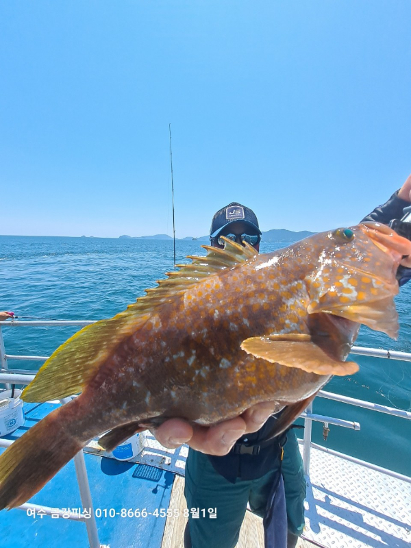 여수금강피싱_사진_20250801_6.jpg