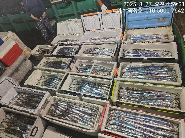 KakaoTalk_20250827_180442912_15.jpg