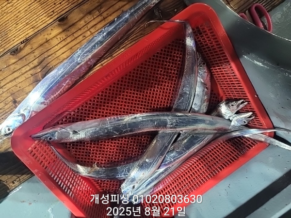 a0c52ac86080c62b9b9b7c2260f5eae1.jpg