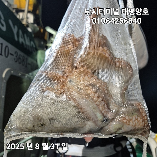 KakaoTalk_20250831_023919630_08.jpg