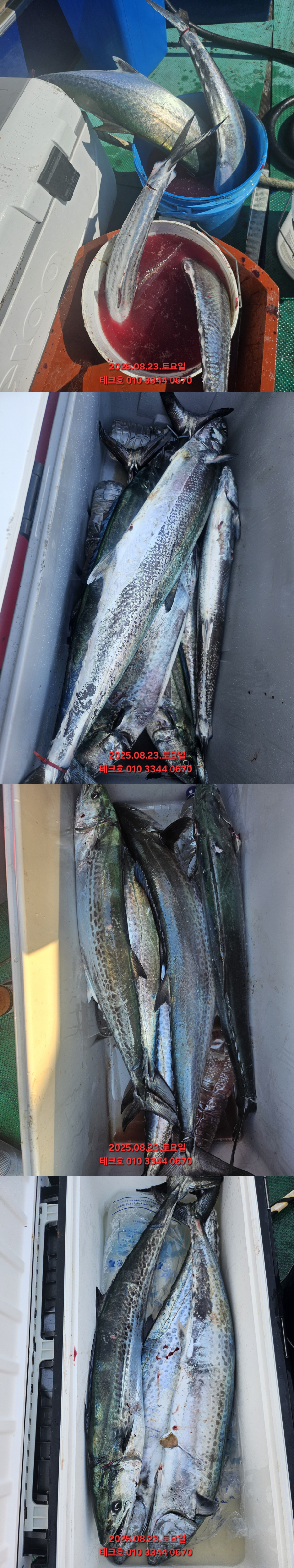 KakaoTalk_20250823_184751116_05-vert.jpg