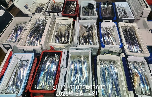 a16e80e3887682eae4e287f2a76e805a.jpg