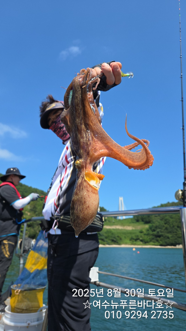 a1b29bf60f0586eefe950cd3ae4e794e.jpg