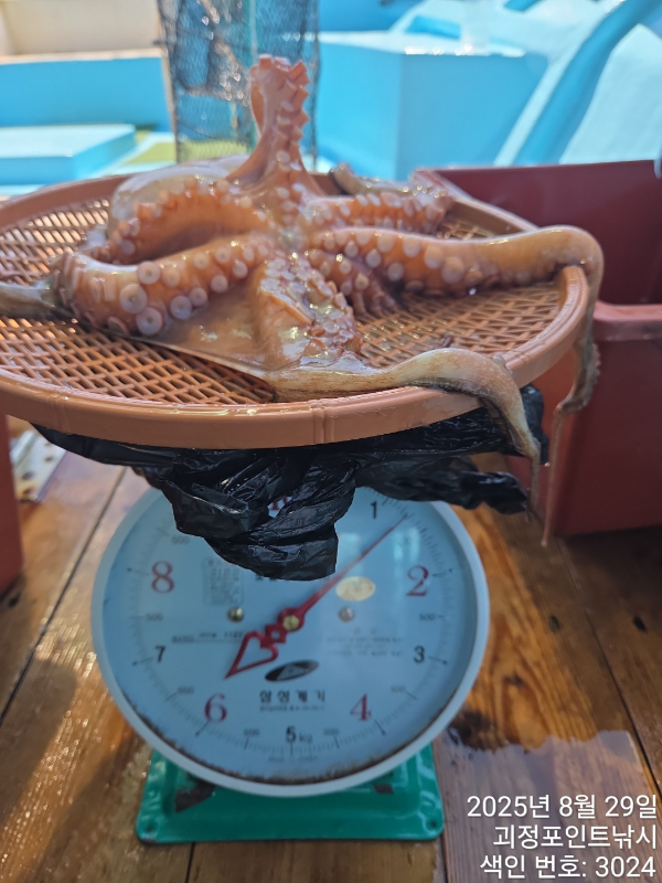 KakaoTalk_20250829_142318680_10.jpg
