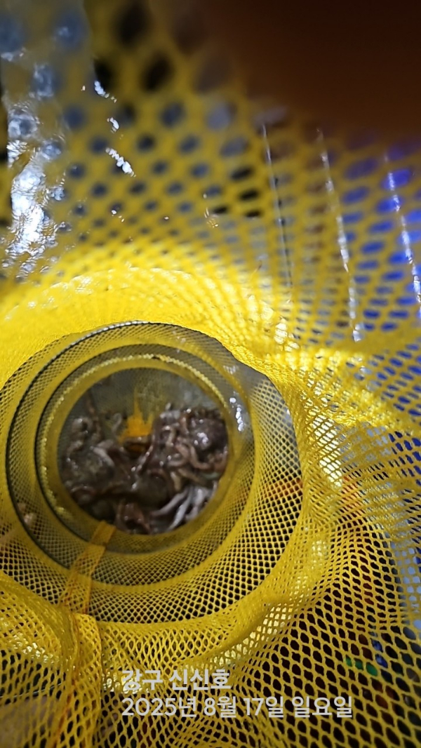 신신낚시 강구점 신신호_사진_20250817_10.jpg