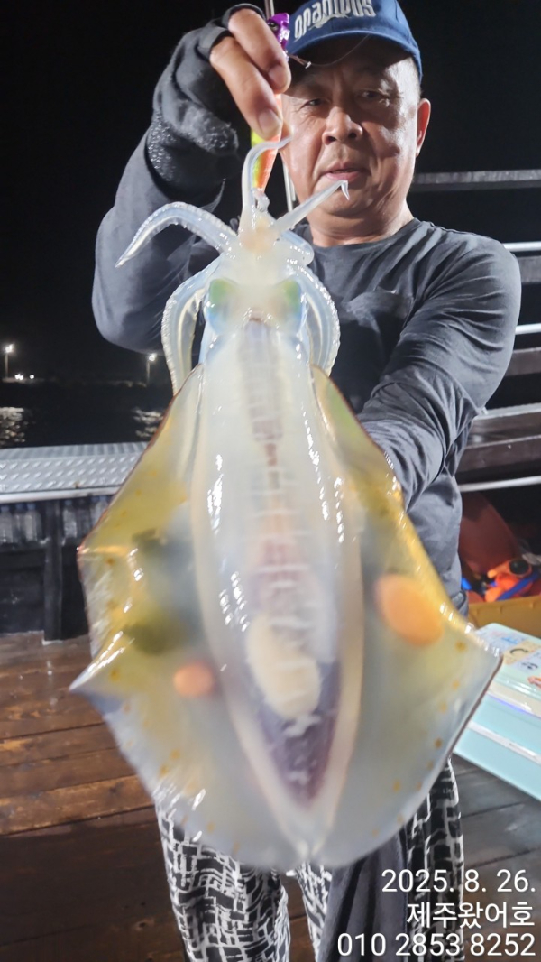 제주왔어호_사진_20250827_16.jpg