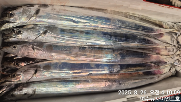 1756169459002-4.jpg