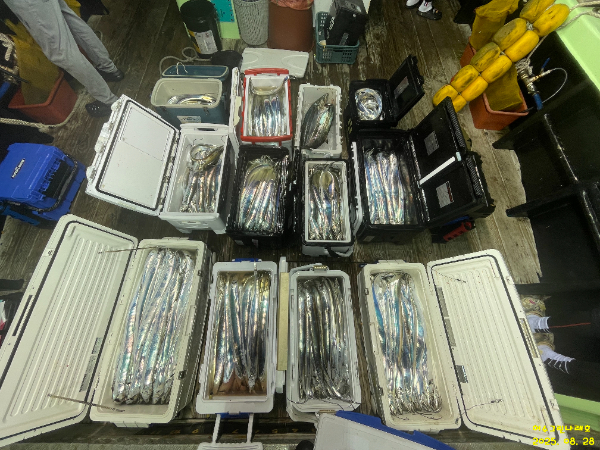 a2ee300ce8390f1d37403738af8771f1.jpg