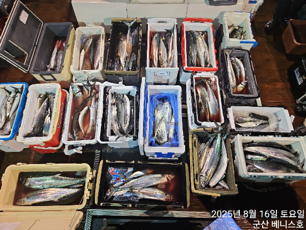 KakaoTalk_20250816_063415380_01.jpg