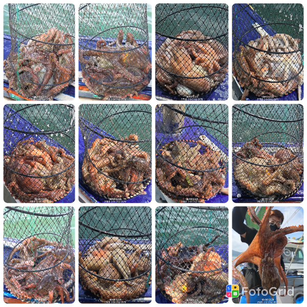 a3a5d345461f3e2c59df05912abc2886.jpg