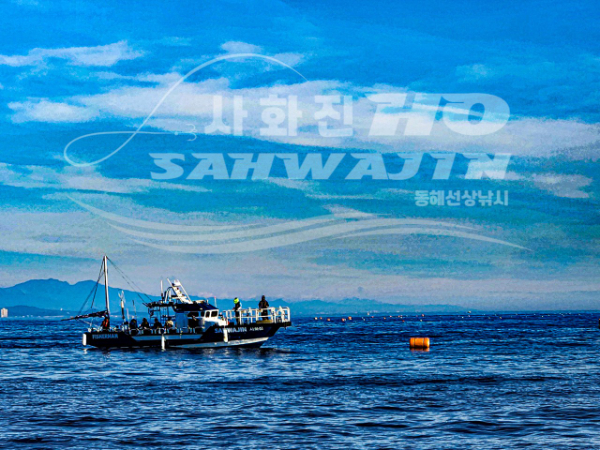a3acb242d35a10b562b404fd97b9dc69.jpg