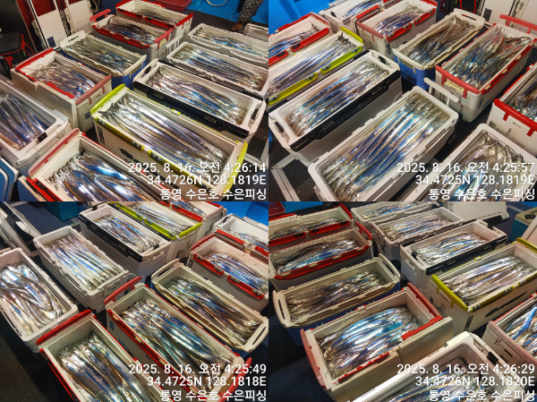 1755291207309-tile.jpg