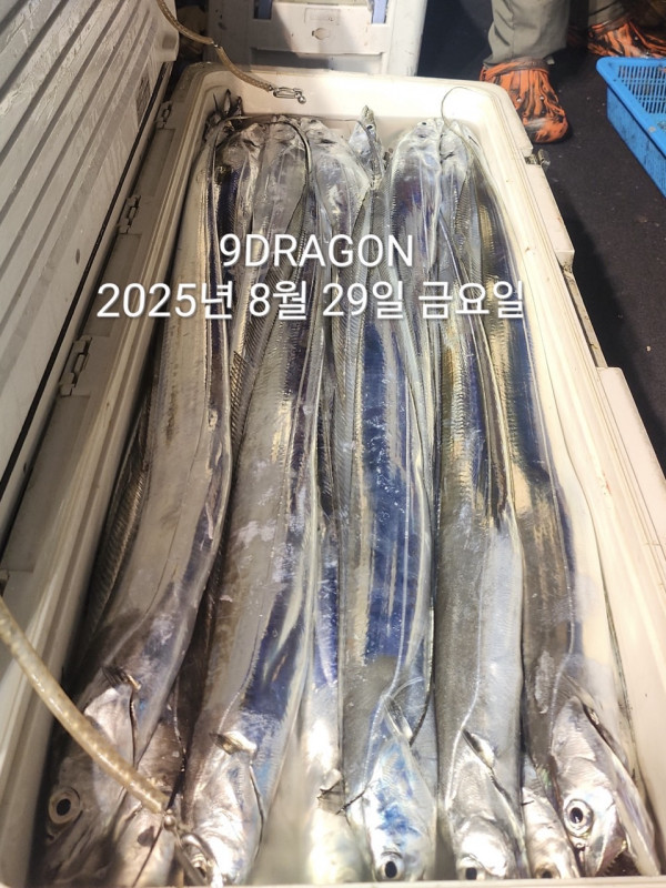 C24449BC-8C3D-4311-83C1-F951C8EA8007.jpeg