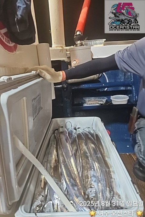1000038815.jpg