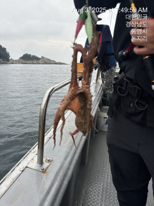 KakaoTalk_20250804_095200609_14.jpg