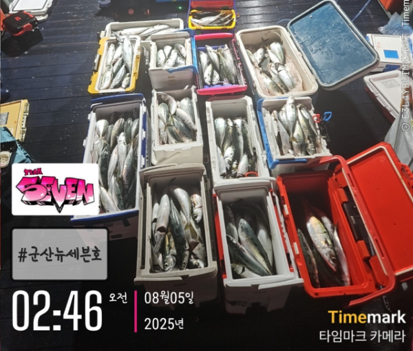 b_g39Ud018svcef2khyn0rj1y_82sd02.jpg