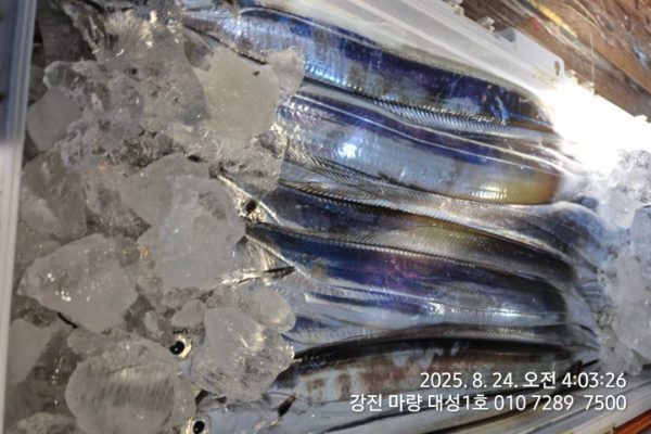 a5097d22655abb15836eddcaac039534.jpg