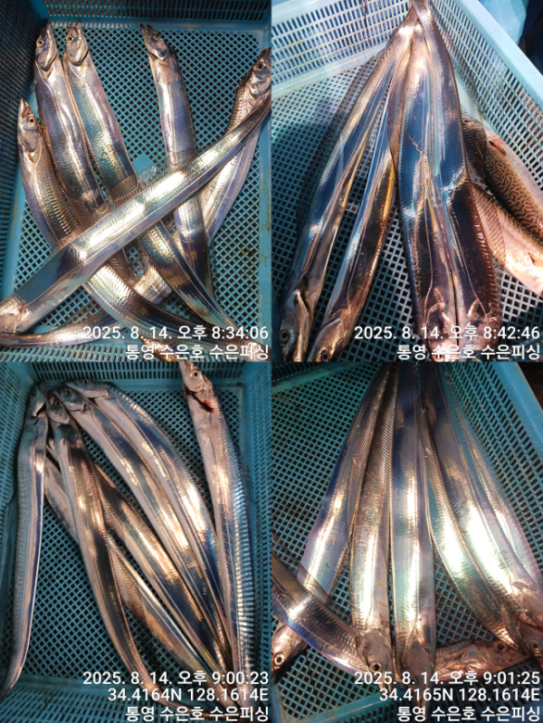 1755205246486-tile.jpg