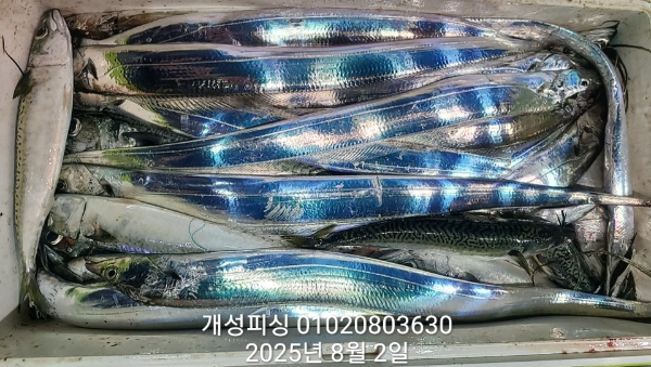 a5af9180bf0bb8d2cc3ad44ee992de02.jpg