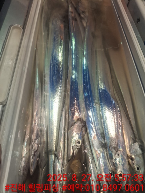 KakaoTalk_20250827_084016069_12.jpg