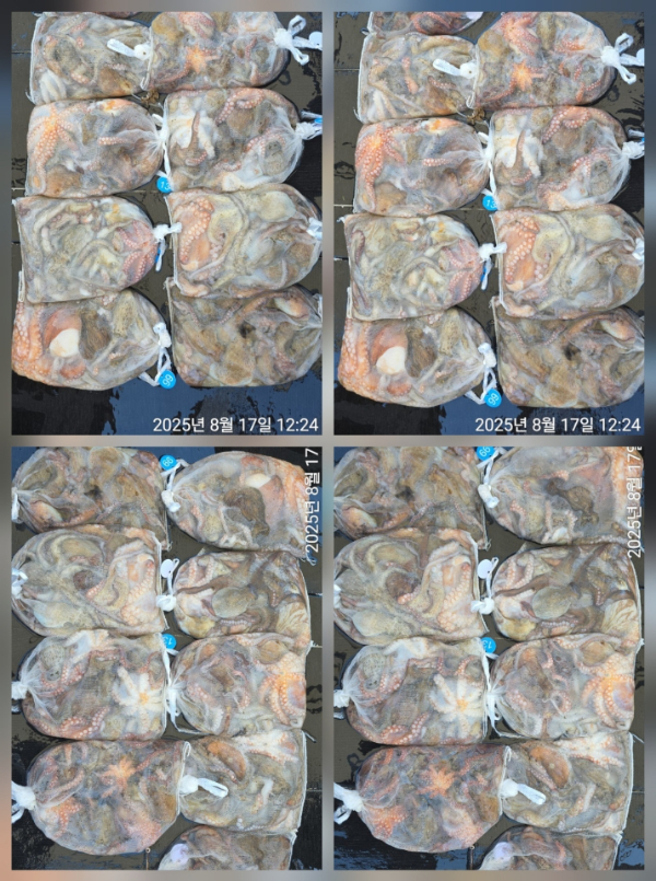 1000095262.jpg