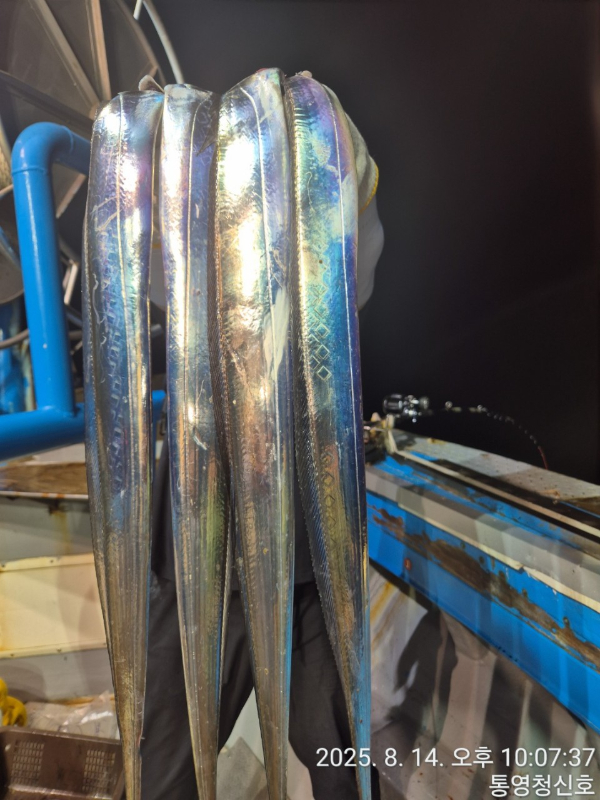 바다의 전설 부평25_사진_20250815_3.jpg