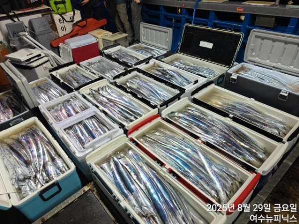 KakaoTalk_20250829_045313790_03.jpg