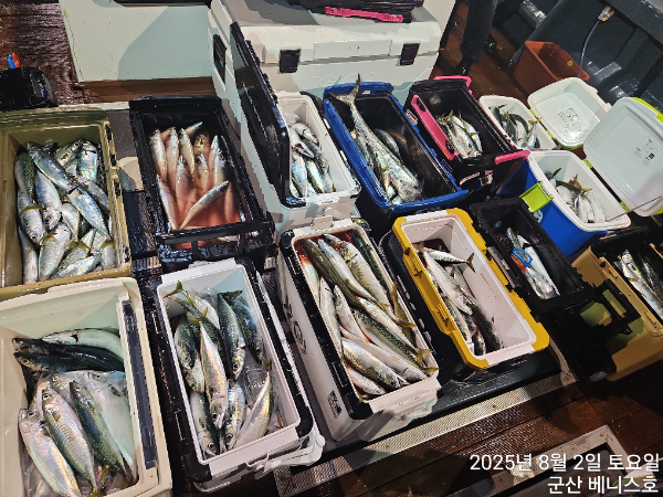 KakaoTalk_20250802_050843030_01.jpg