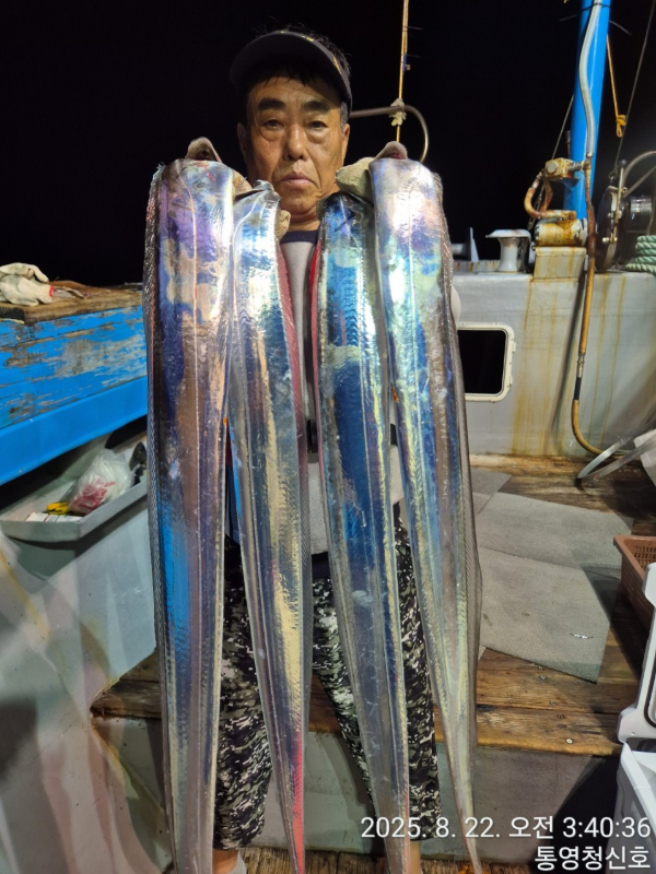 통영청신호입니다_사진_20250822_3.jpg