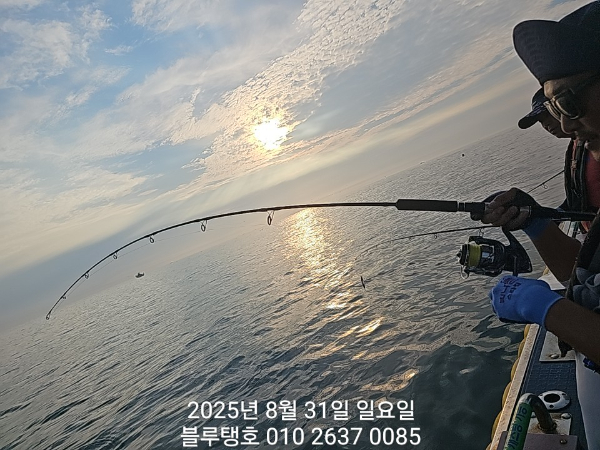 20250831_065623.jpg