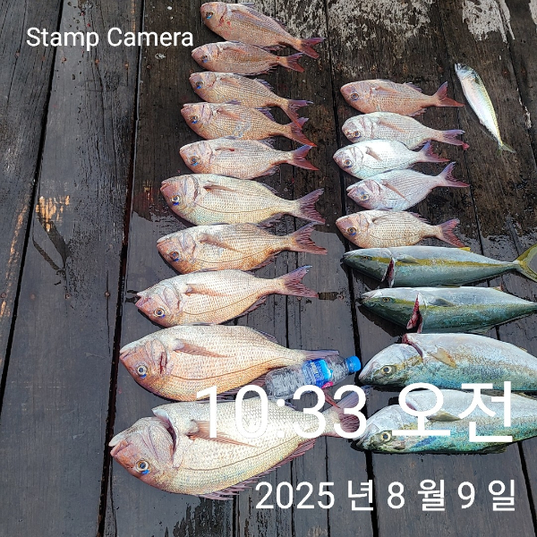 StampCamera20250809103356.jpg