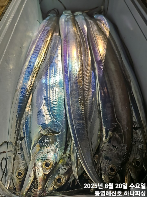 1755632260707.jpg