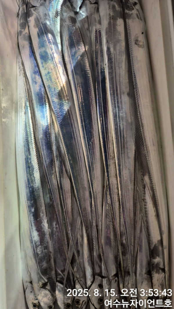 1755217967725-14.jpg