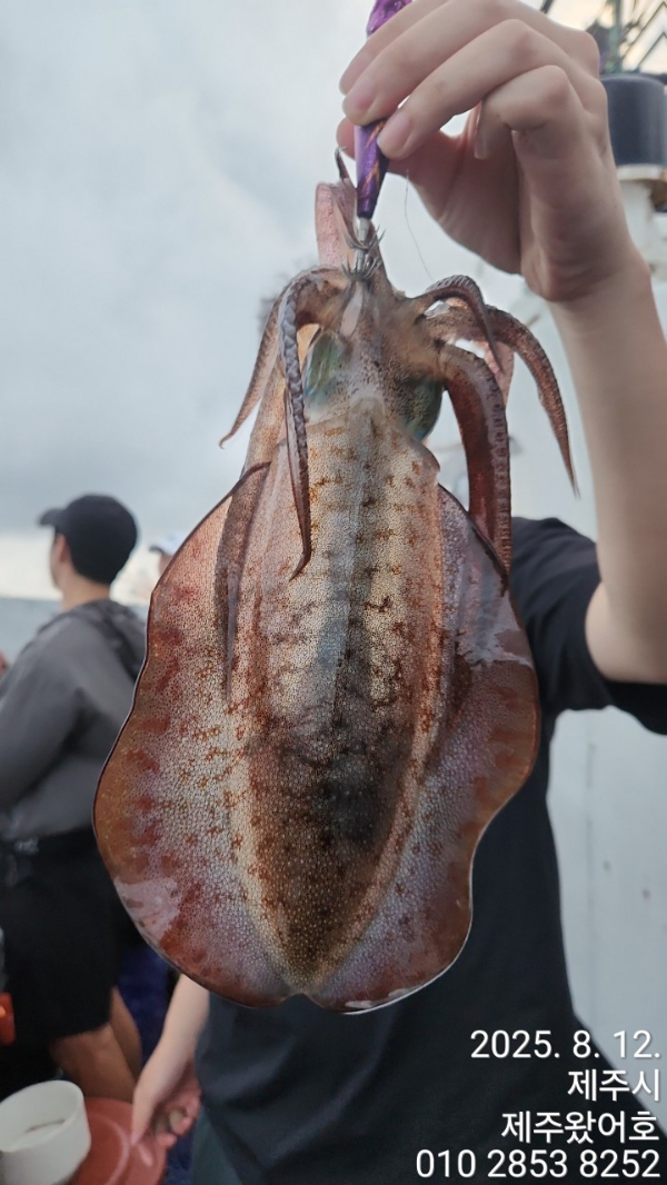 제주왔어호_사진_20250813_14.jpg