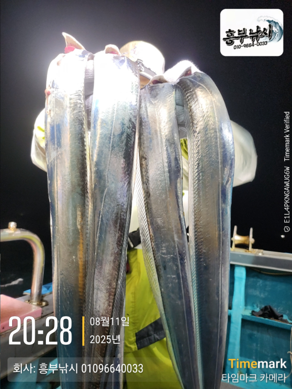 a7c986465cad0de4d93d0572687021bf.jpg